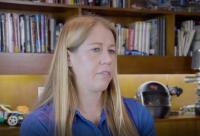 梅里特·莫里斯