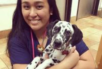 艾琳·吴的育儿建议