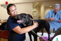 艾琳·吴·格拉迪奥